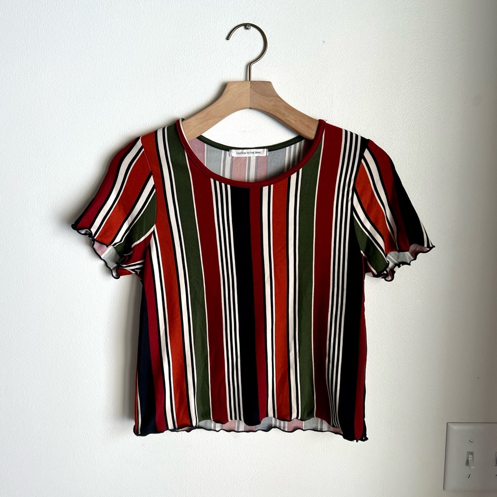 Caution to the Wind Cropped Stripe Top with Ruffle Sleeves
